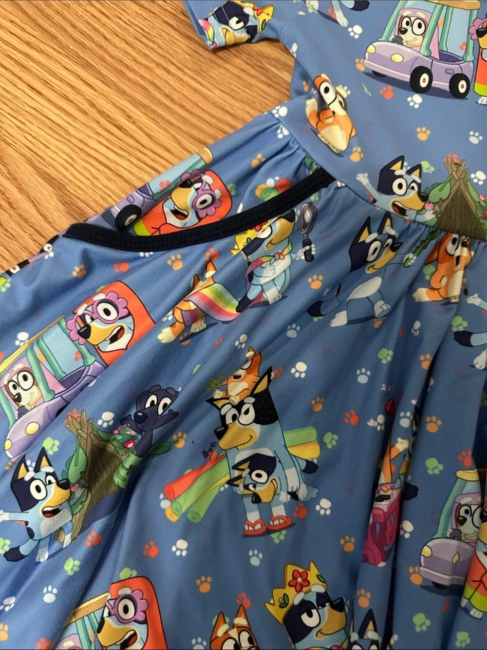 Bluey Cartoon Print Twirl Dress
